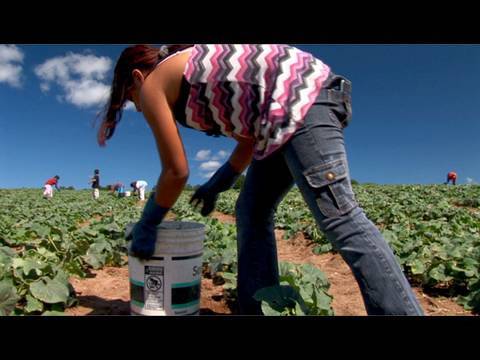 Fingers to the Bone: Child Farmworkers in the United States