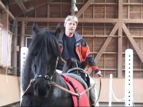 HorseDream Horse Assisted Education Program