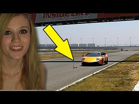 MLH - GO Vlogger GO!!! one lucky squirrel with a close call with a Lamborghini LP670-4 SV